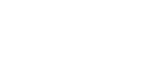 Virfit